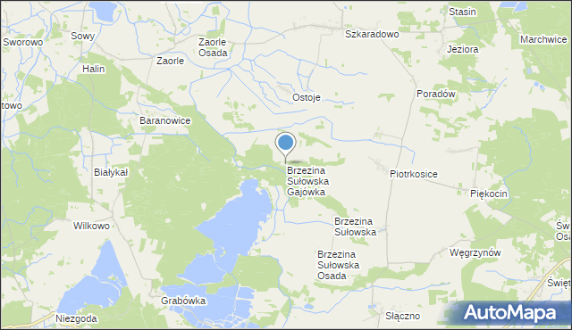 mapa Brzezina Sułowska Gajówka, Brzezina Sułowska Gajówka na mapie Targeo